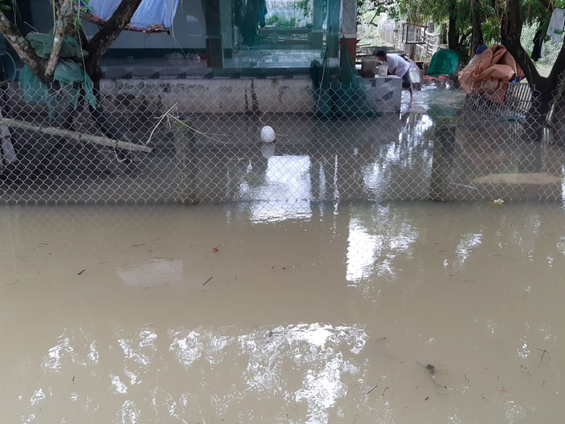 Mưa lớn ở thượng nguồn, vùng hạ du sông Bồ ở Huế ngập trong lũ -0