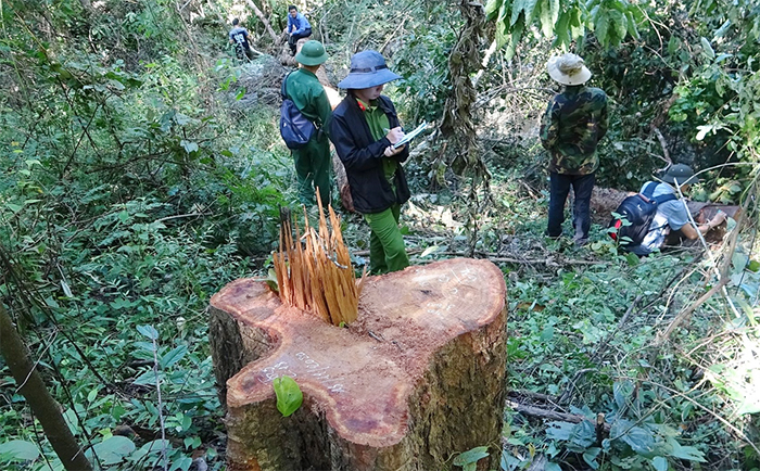 Sớm điều tra, làm rõ vụ cán bộ kiểm lâm bị bắn chết  -0