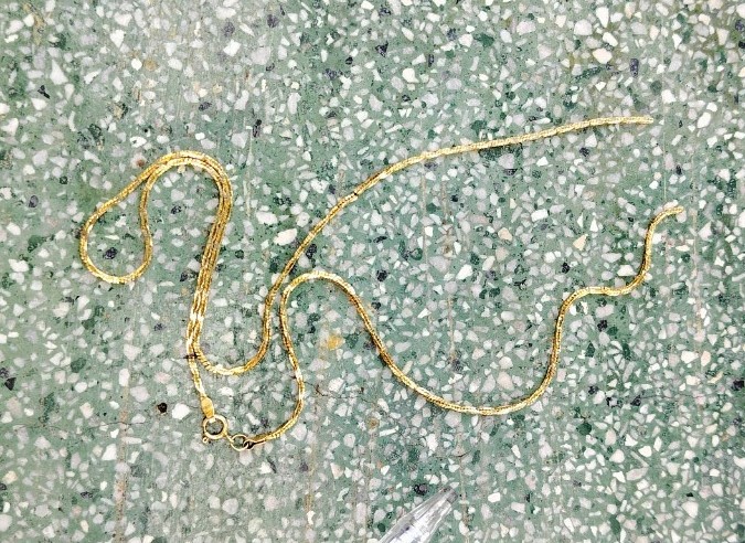 Băng nhóm xăm trổ từ TP Hồ Chí Minh qua Long An gây hàng loạt vụ giật dây chuyền vàng -0