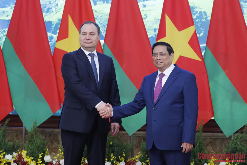 8fb80802-ee02-416b-b166-2c73cad036dc.jpg -0