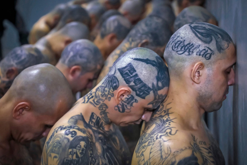 Người phụ nữ bỗng dưng trở thành khủng bố ! -0