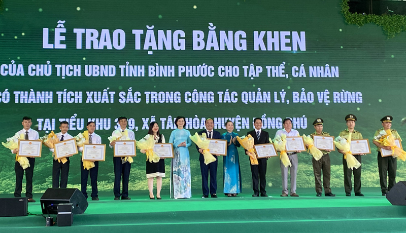 image_50447617.jpg -0