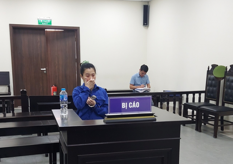 Chiếm đoạt hơn 2,7 tỷ đồng, nữ nhân viên Bệnh viện Thẩm mỹ Thu Cúc lĩnh 10 năm tù -0