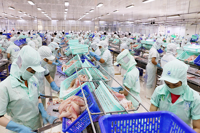 Nâng cao sức cạnh tranh của ngành hàng cá tra Việt Nam -0