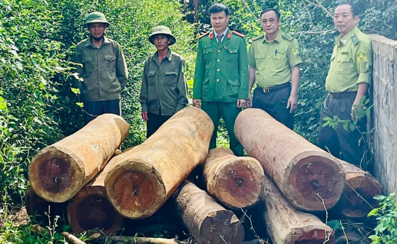 Phát hiện thu giữ gần 3m3 gỗ quý vận chuyển, tàng trữ trái phép  -0