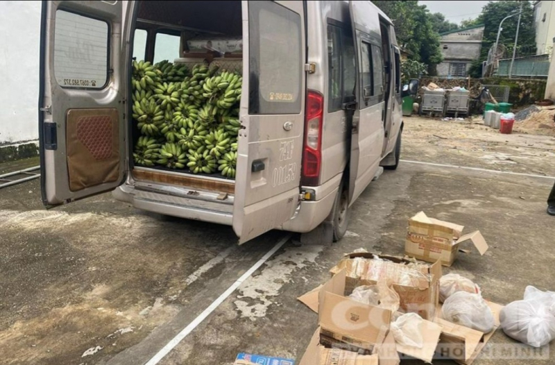 Giấu hàng chục cá thể động vật hoang dã quý, hiếm trong xe chở chuối -0