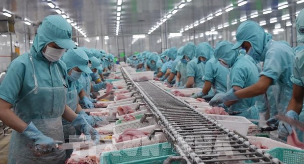 2023 a good year for Vietnam - US relations: Ambassador -0