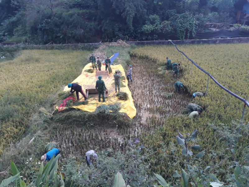 biên phòng 2.jpg -0