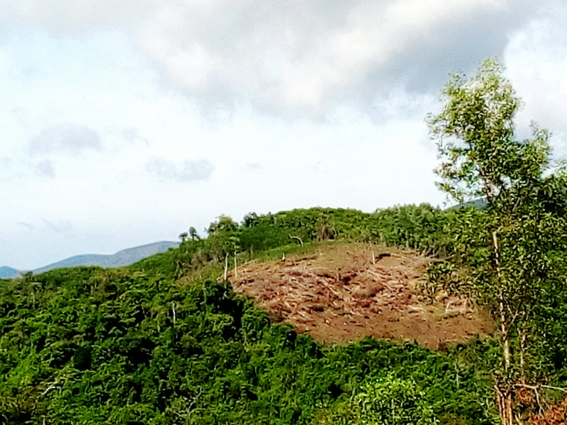 Phản hồi bài viết về xã tái nghèo, người dân không được hưởng lợi từ rừng -0