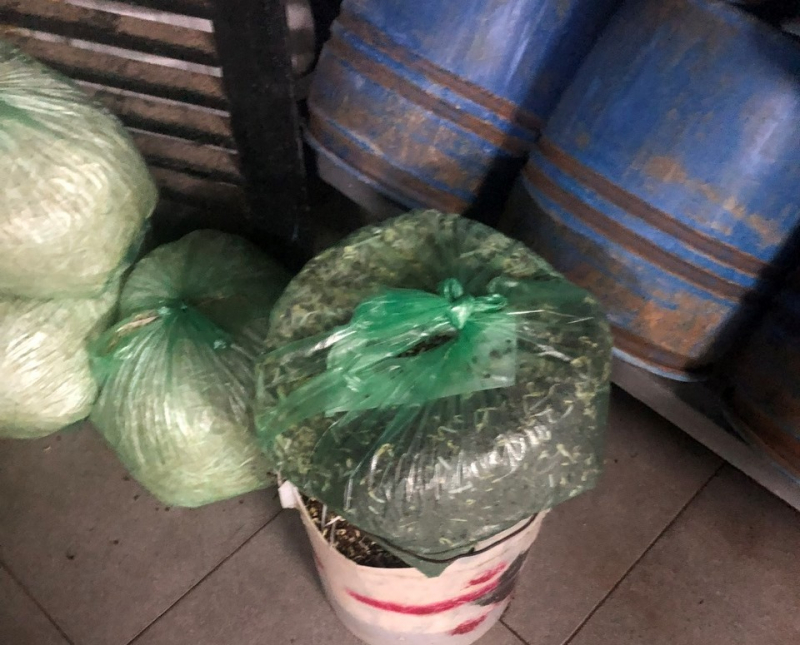 Kinh hoàng 3 xưởng sản xuất giá đỗ ủ hóa chất độc hại chuyên cung cấp cho các chợ tiêu dùng -0