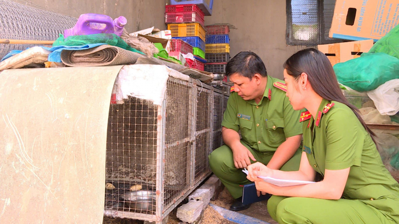 Phát hiện hộ dân nuôi nhốt nhiều cá thể động vật hoang dã, quý hiếm -0