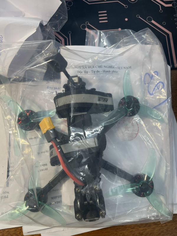 Người mẫu Ngọc Trinh nói gì sau khi bị tạm giam 3 tháng? -0