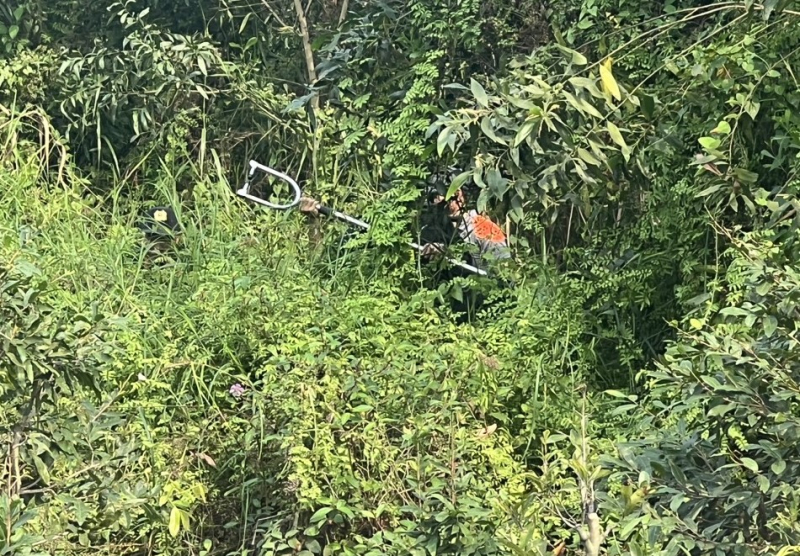 Vạch từng mét rừng tìm kiếm hung thủ giết người cướp tài sản -2