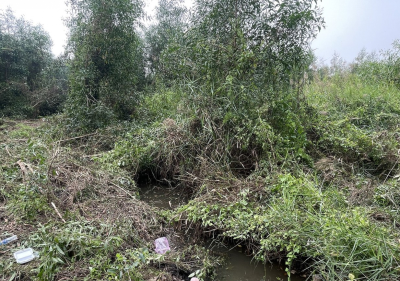 Người dân thở phào khi đối tượng giết người, cướp tài sản trốn trong rừng bị bắt -0