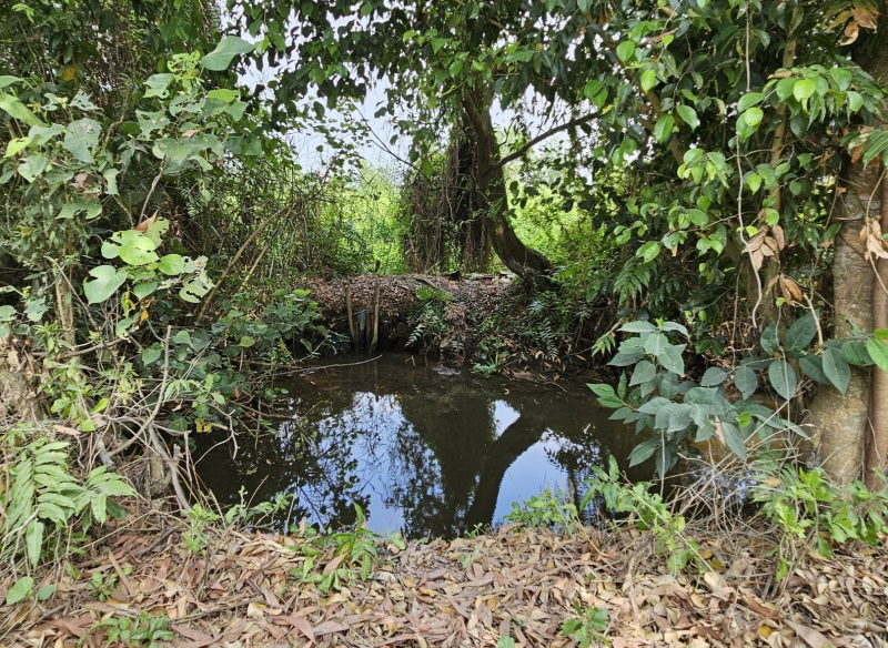 Người dân thở phào khi đối tượng giết người, cướp tài sản trốn trong rừng bị bắt -0