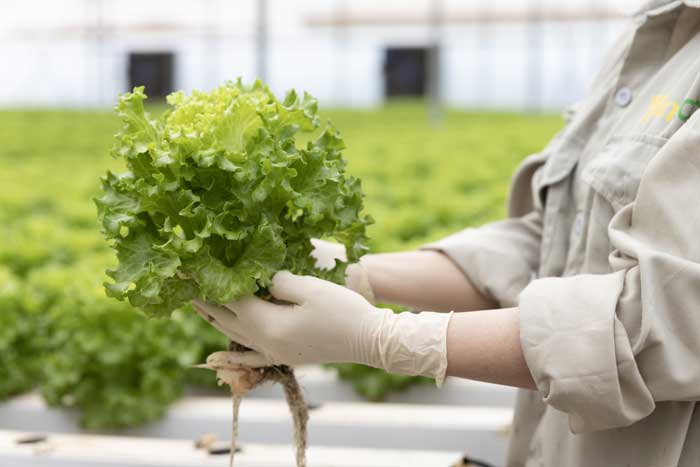 WinCommerce góp phần làm “đầy dưỡng chất” mâm cơm Việt -0