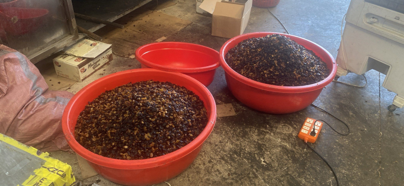 Biến nho khô Ấn Độ thành nho khô Mỹ -0