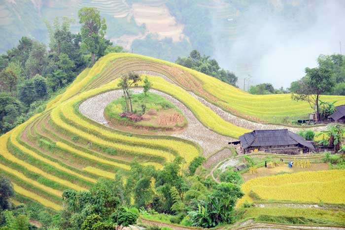 Bỏ “Bà Cô Dợ” đi mà làm người… -0