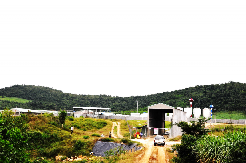 Phản hồi bài “Dân bức xúc vì ô nhiễm môi trường từ trại chăn nuôi heo” -0