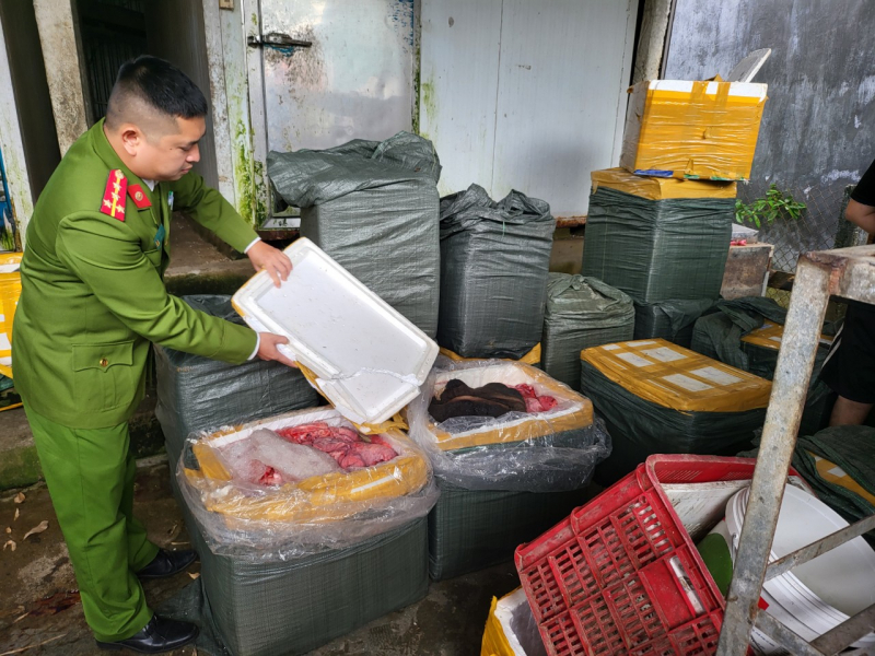 Phát hiện nhiều vi khuẩn sinh độc tố trong 3 tấn thịt lợn đông lạnh chờ bán dịp Tết -0