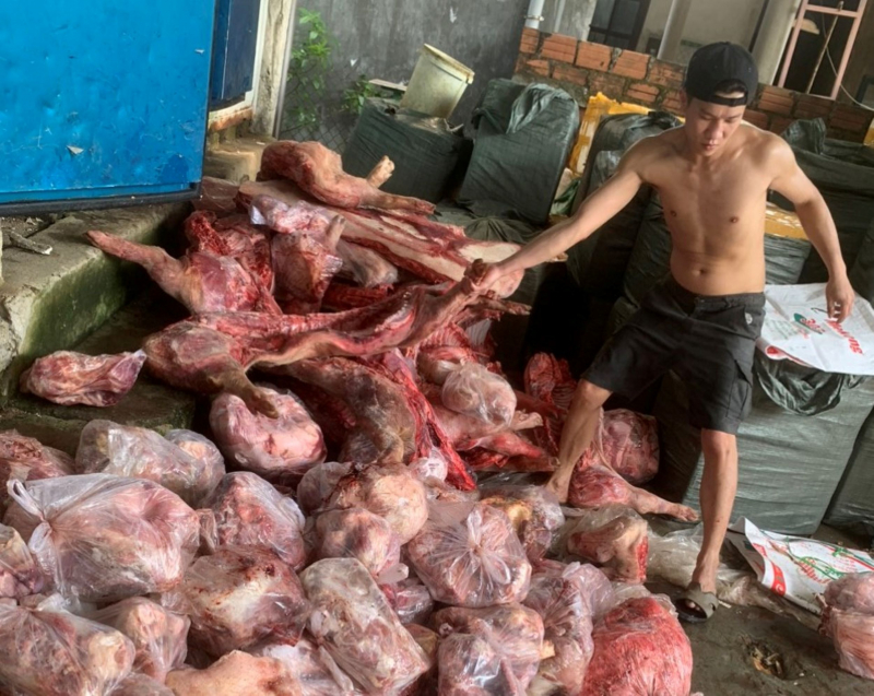 Phát hiện nhiều vi khuẩn sinh độc tố trong 3 tấn thịt lợn đông lạnh chờ bán dịp Tết -0