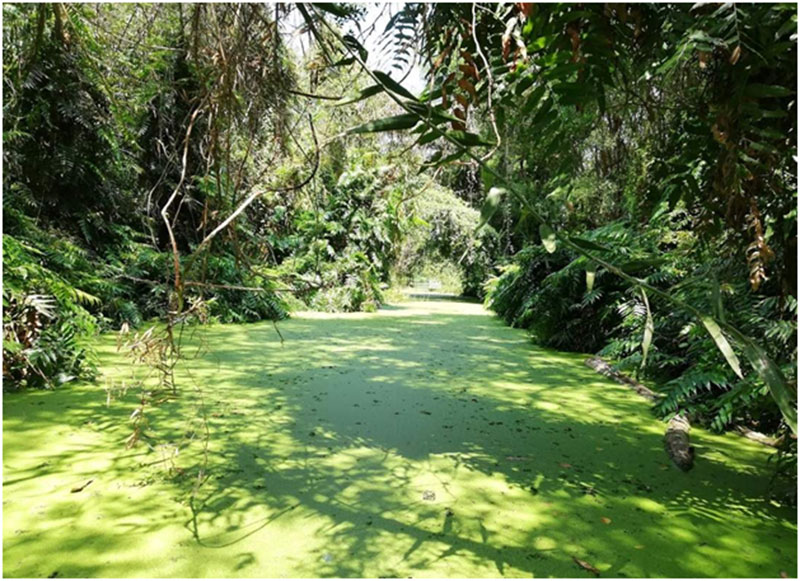 Nơi lưu giữ sự huyền diệu của thiên nhiên -0