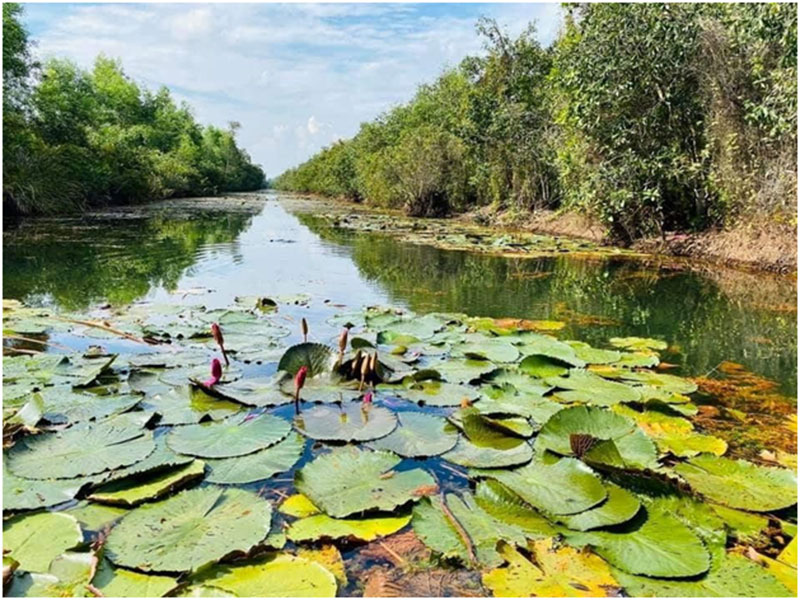 Nơi lưu giữ sự huyền diệu của thiên nhiên -0