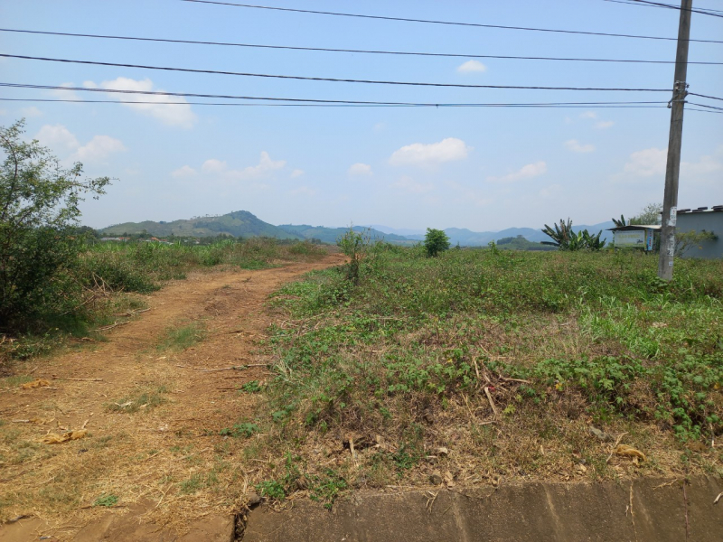 Huyện ủy Tây Hòa yêu cầu làm rõ thêm một vụ giao đất có dấu hiệu bất thường -0