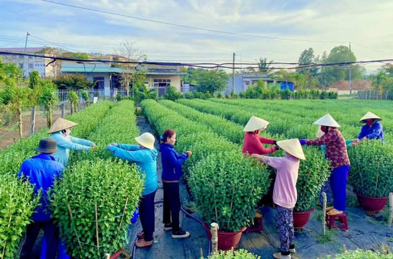 Lại một mùa hoa Tết... -0