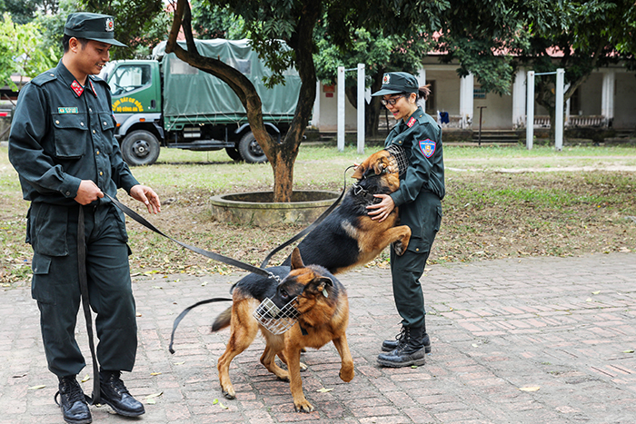 Nữ bác sĩ thú y và tình yêu với những “chiến sĩ” bốn chân -0