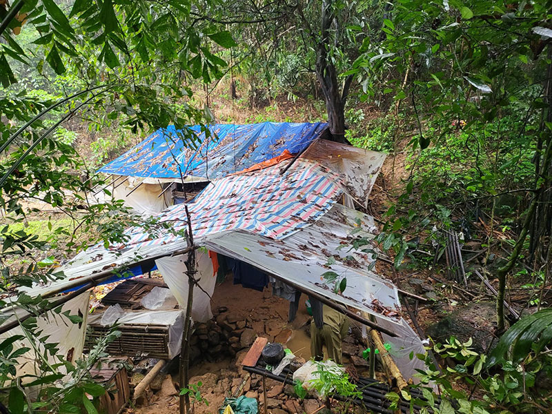 Trốn truy nã về tội giết người, chui lủi trong rừng buôn bán ma túy -0