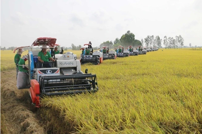 Quyết tâm xây dựng một nước Việt Nam ngày càng giàu mạnh, văn minh -0