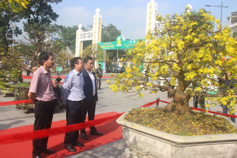 Chiêm ngưỡng tuyệt phẩm Hoàng mai của nghệ nhân xứ Huế -0