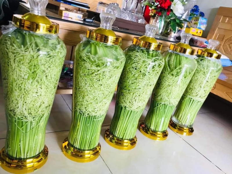 dong-dong-lua-nep8-1.jpg -0