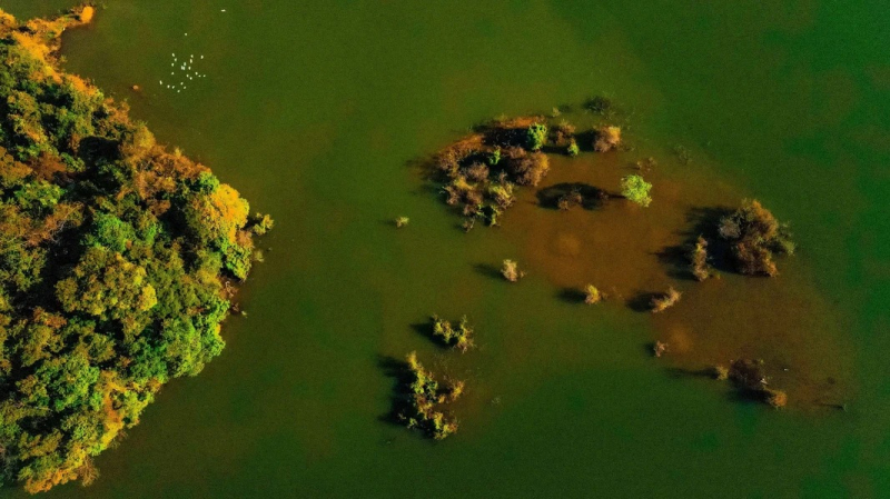 ttxvn-0501pakhoang4-2498.jpg.jpg -3