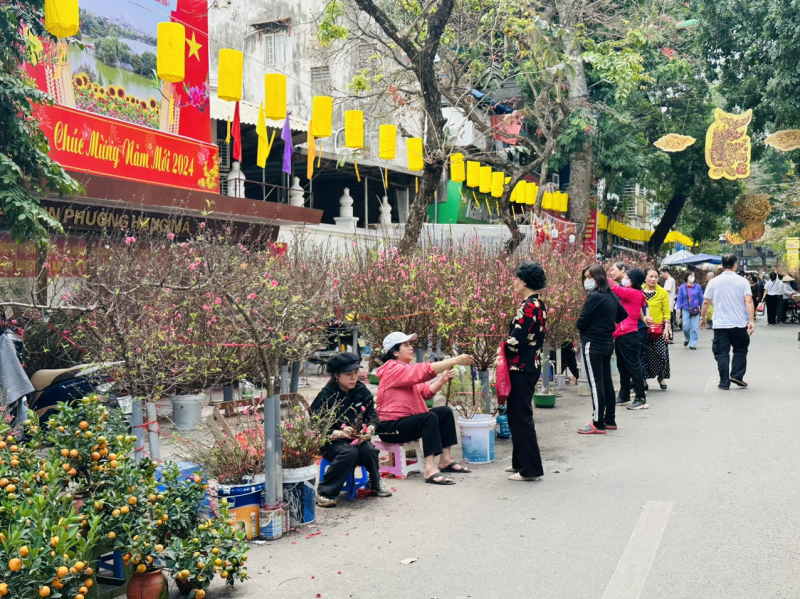 Chợ hoa Hàng Lược rực rỡ sắc màu cuối năm -0