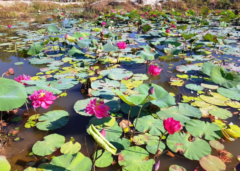 [TET] Discovering Bai Say - Dam river -0