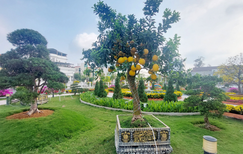 Năm thứ 2, Sóc Trăng đón người dân tham quan trụ sở UBND tỉnh nhân dịp đầu xuân -1