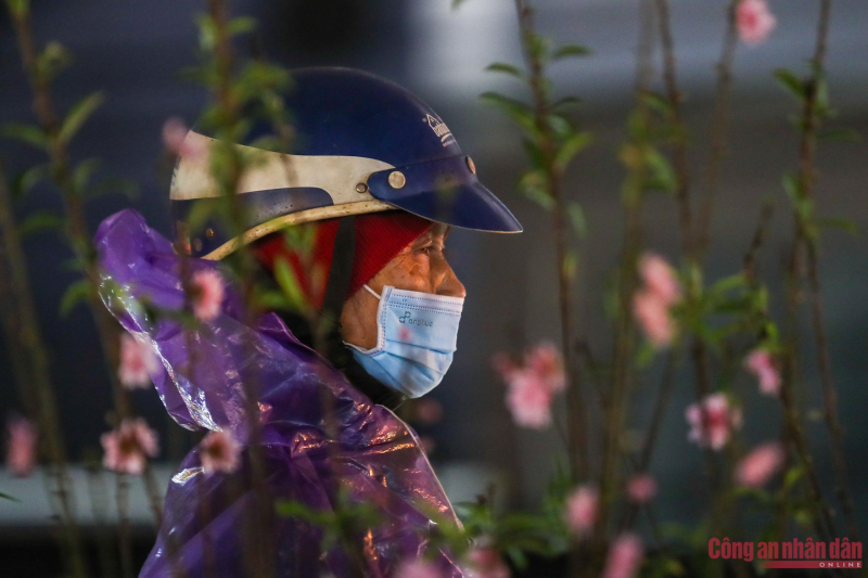 07e7a66ad9f173af2ae07.jpg -0