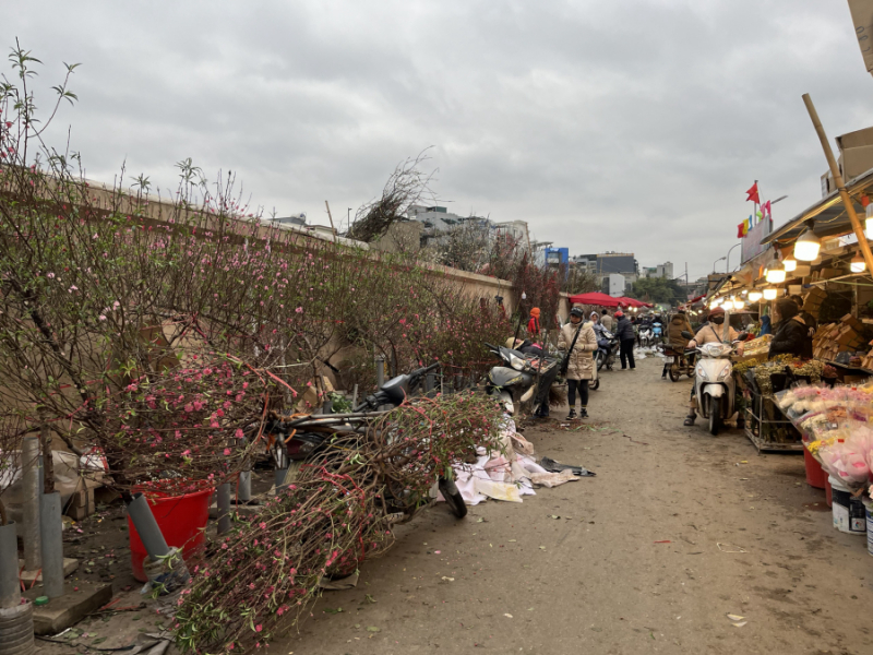 download (2).jpeg -0