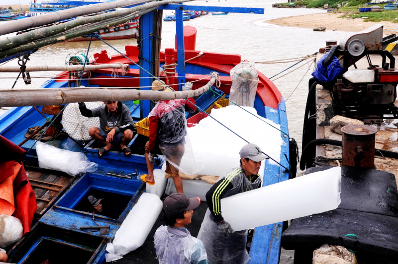 Hàng trăm ngư dân Phú Yên vươn khơi bám biển xuyên Tết Nguyên đán -0