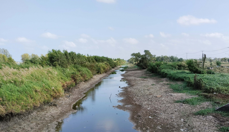 Nhiều tuyến đường nông thôn ở Cà Mau bị sụt lún do hạn hán -0