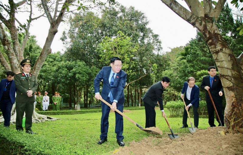 5579c804-02f0-4f84-a66e-3a31ec929e5b_1_201_a.jpeg -0