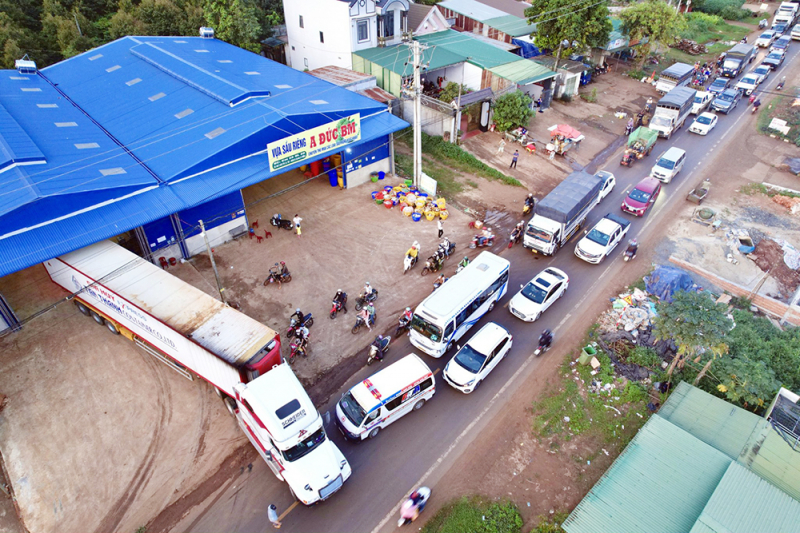 kiem diem (1).jpg -0