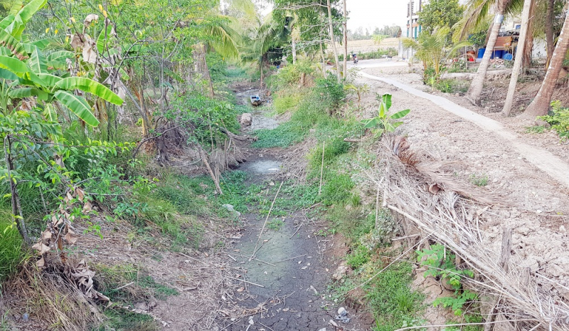 Chủ động ứng phó với hạn, mặn -0