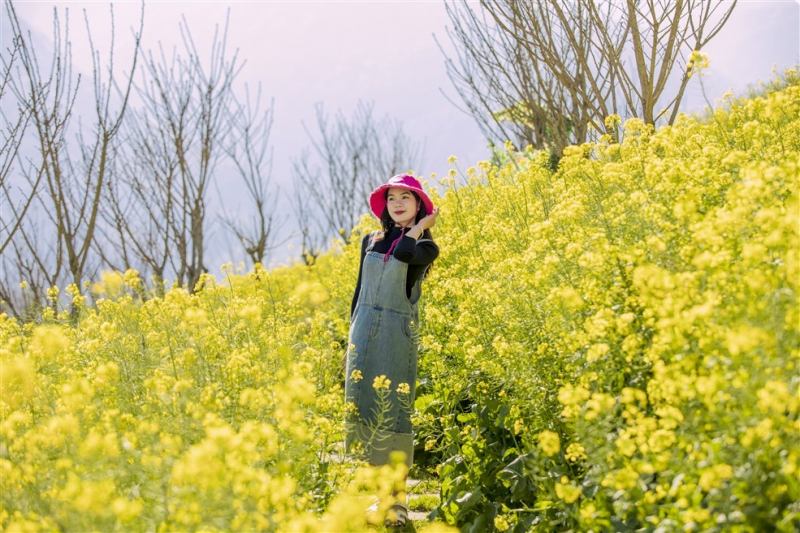 Du khách mê mải đồi hoa cải vàng rực tại Fansipan -1