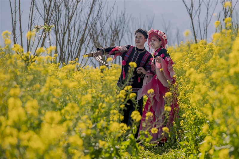 Du khách mê mải đồi hoa cải vàng rực tại Fansipan -3