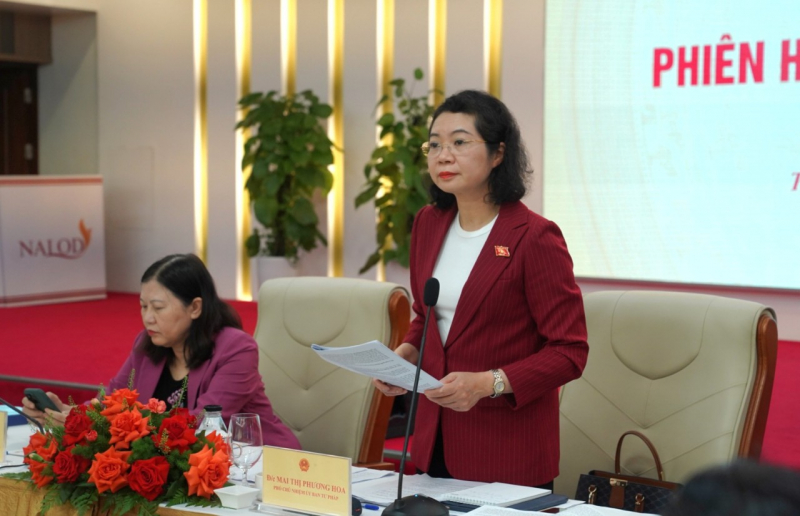 Thẩm tra dự án Luật Phòng, chống mua bán người (sửa đổi) -0