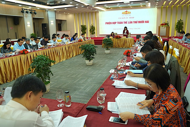 Thẩm tra dự án Luật Phòng, chống mua bán người (sửa đổi) -0