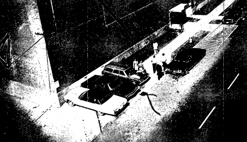 “Điệp viên” lông vũ  vẫn được tin dùng -0